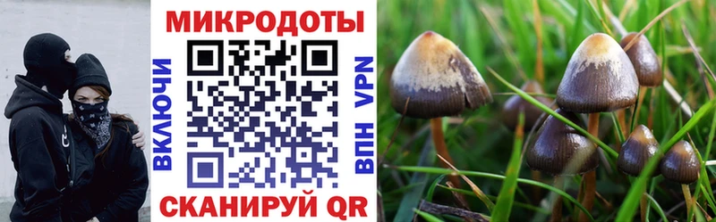 наркошоп  Рошаль  Псилоцибиновые грибы прущие грибы 
